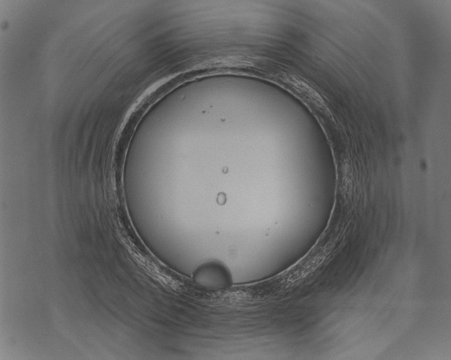 X0000071770784200607211531