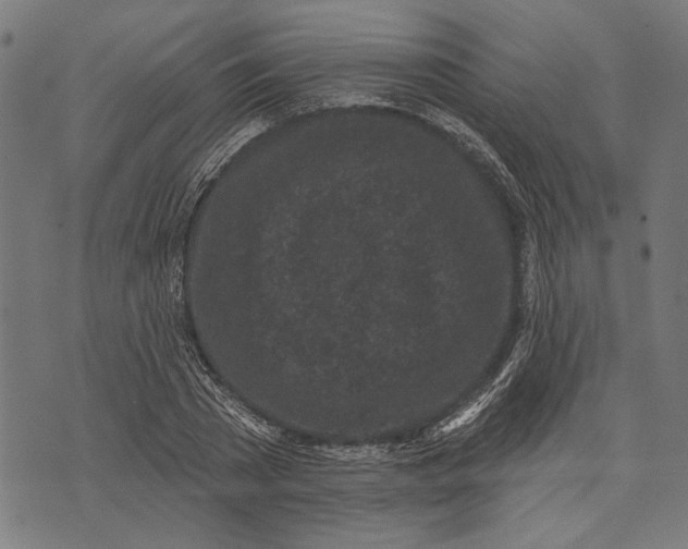 X0000071770785200607211531