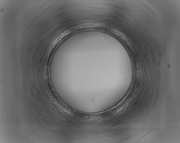 X0000071770786200607211531