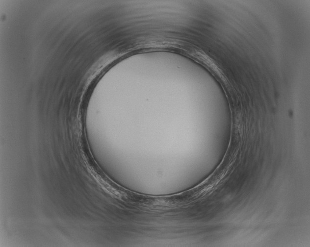 X0000071770787200607211531