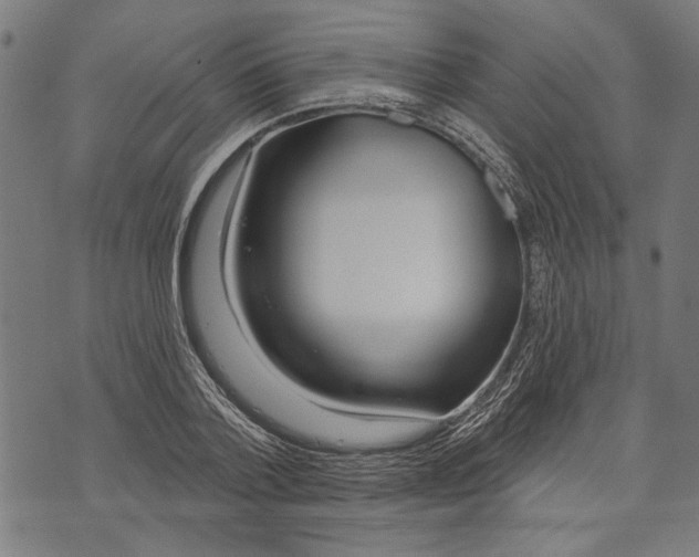 X0000071770788200607211531