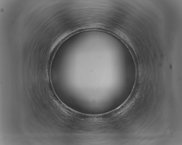 X0000071770789200607211531