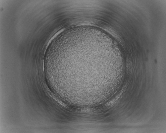 X0000071770790200607211531