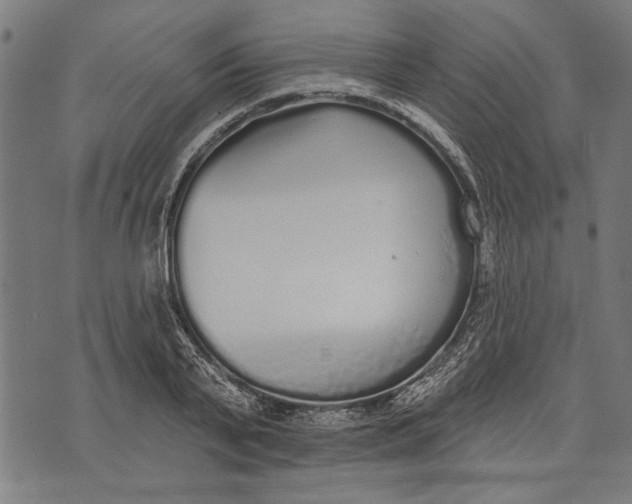 X0000071770791200607211531