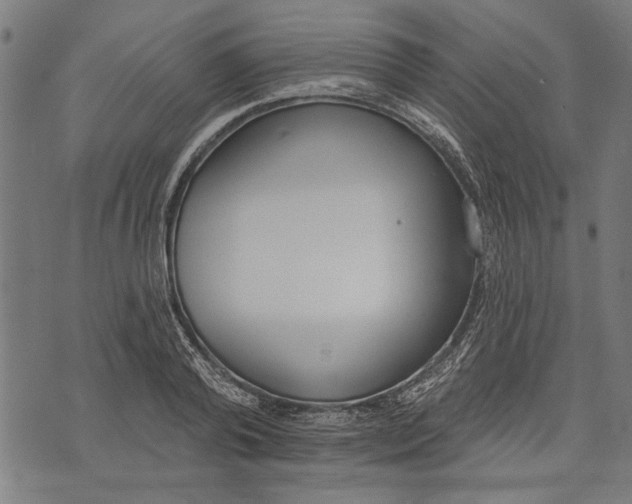 X0000071770792200607211530