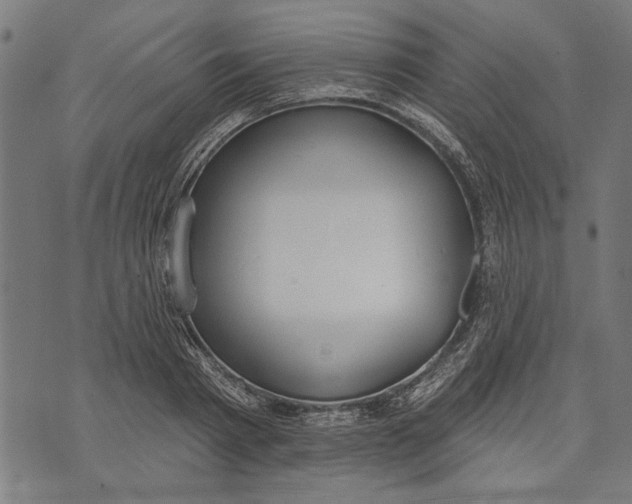 X0000071770793200607211530