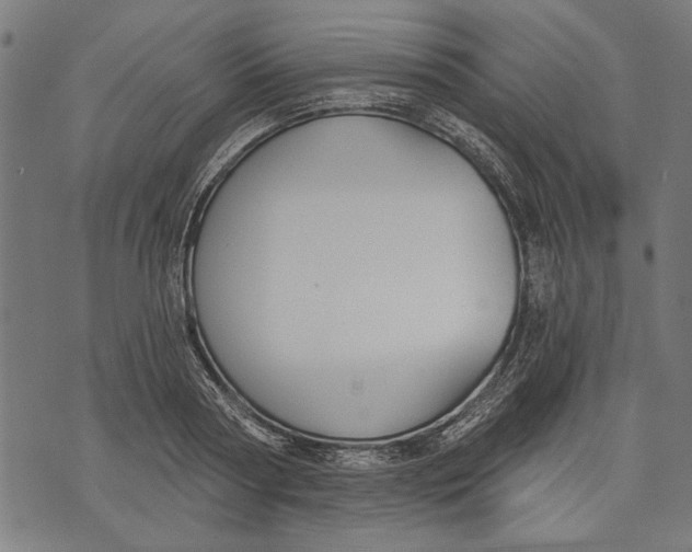 X0000071770794200607211530