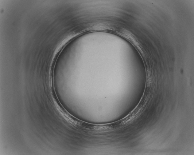 X0000071770795200607211530