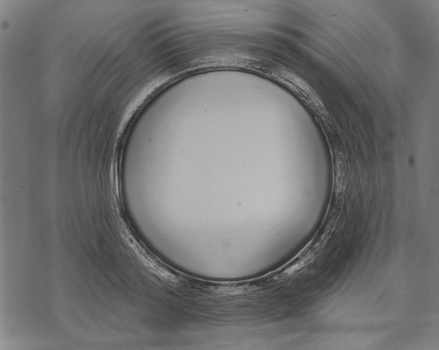 X0000071770796200607211530