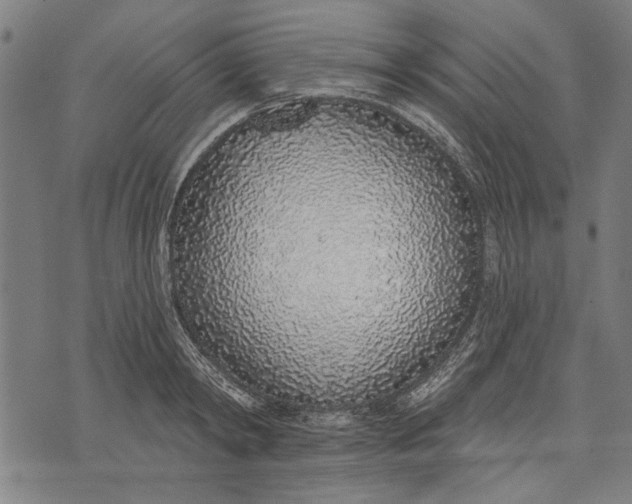 X0000071770798200607211530