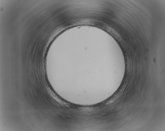 X0000071770800200607211530