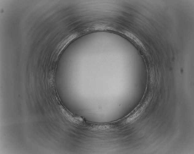 X0000071770801200607211530