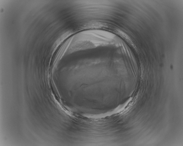 X0000071770802200607211530