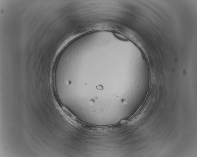 X0000071770803200607211530