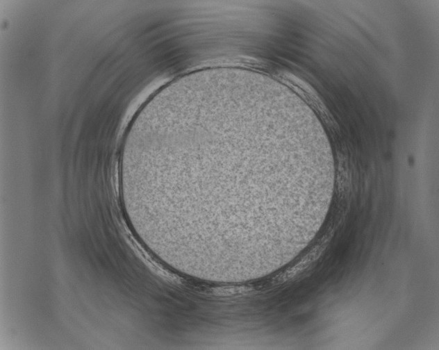 X0000071770804200607211530