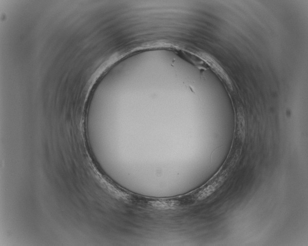 X0000071770805200607211530