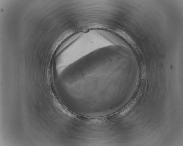 X0000071770806200607211530