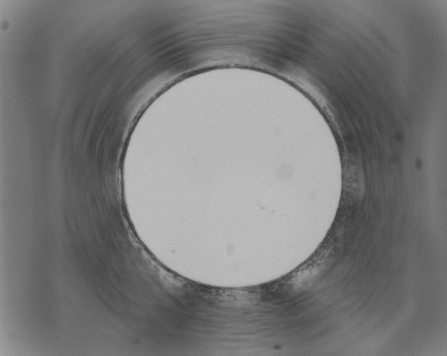 X0000071770807200607211530