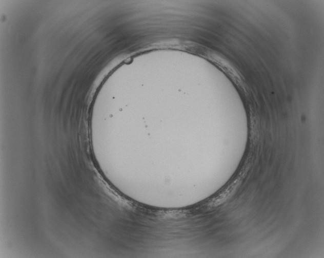 X0000071770808200607211530