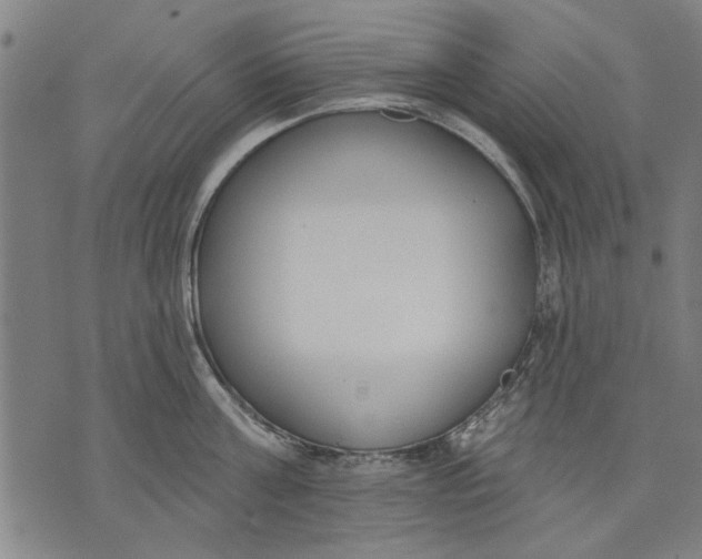 X0000071770811200607211530