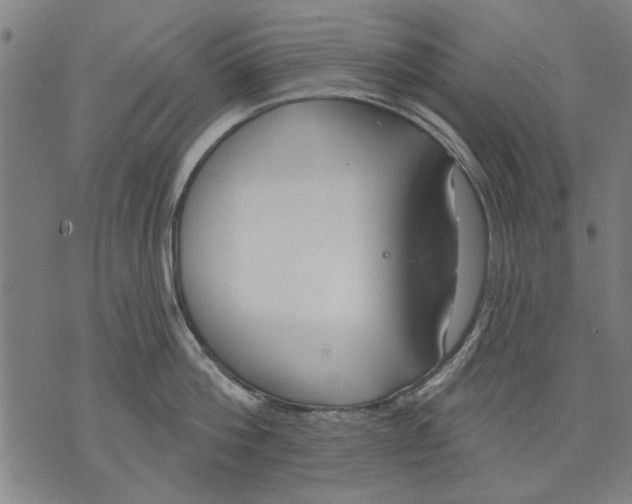 X0000071770812200607211530