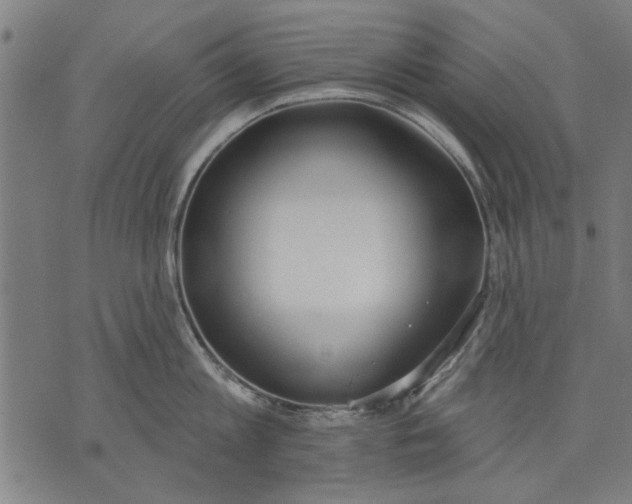 X0000071770813200607211530