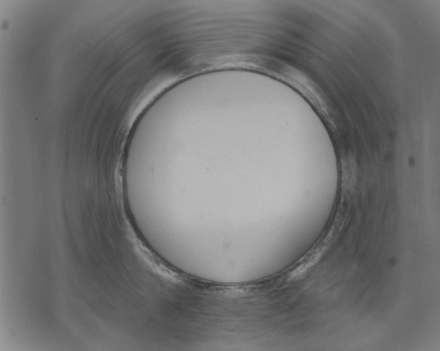 X0000071770814200607211530