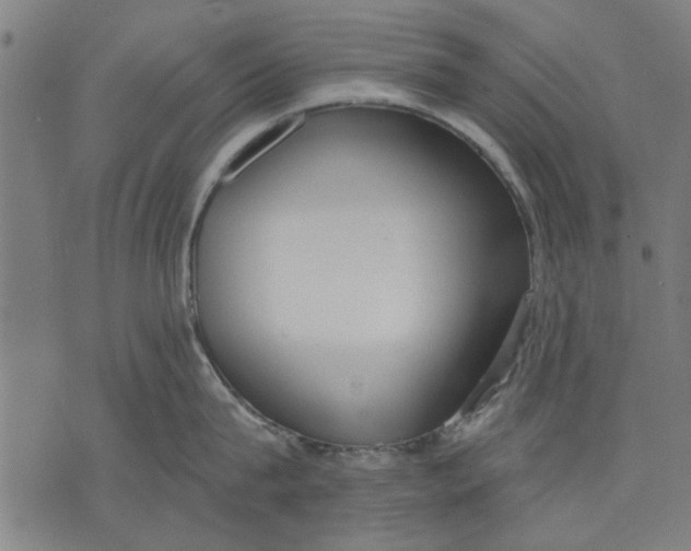 X0000071770815200607211530