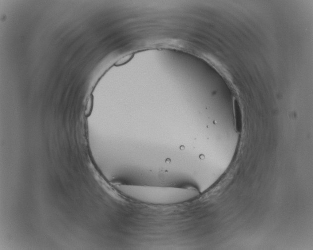 X0000071770816200607211530