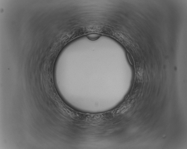 X0000071770817200607211529