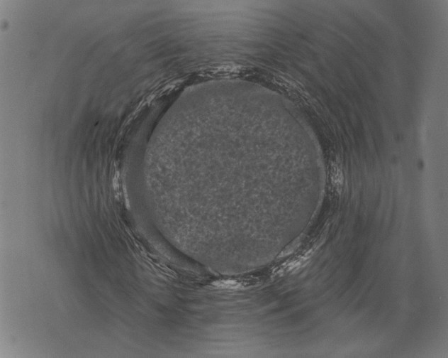 X0000071770818200607211529