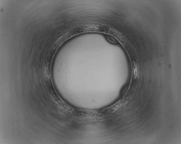 X0000071770819200607211529