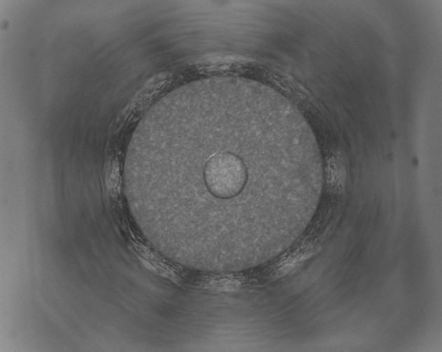 X0000071770820200607211529