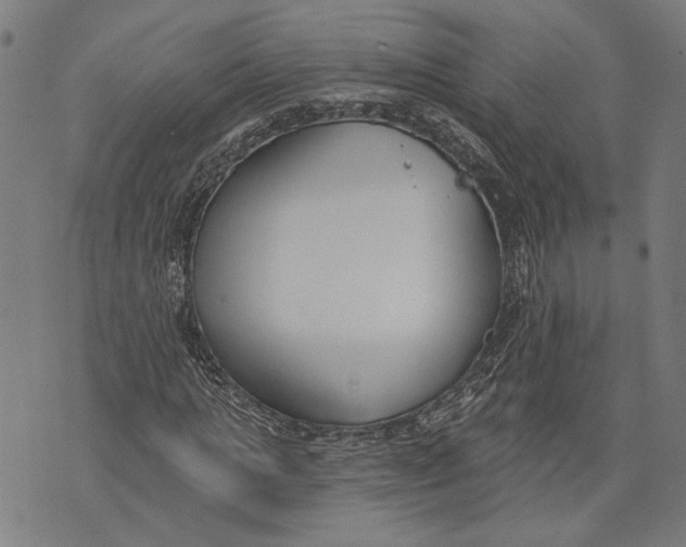 X0000071770821200607211529