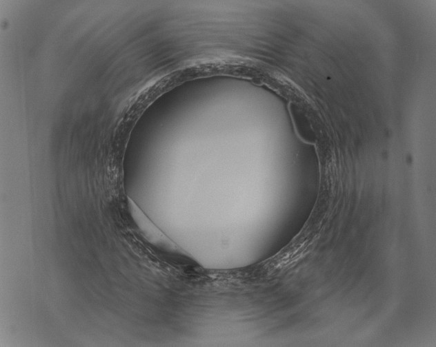 X0000071770822200607211529