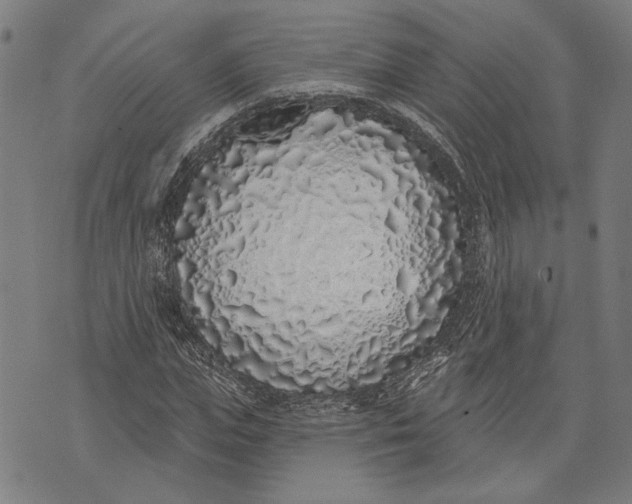 X0000071770823200607211529