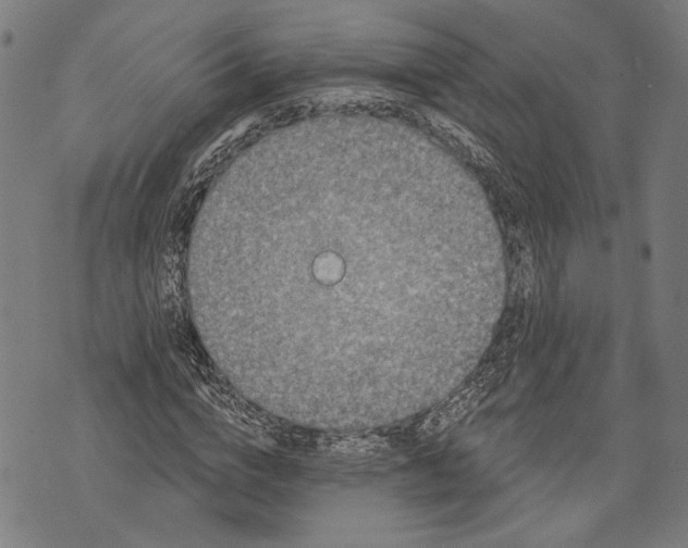 X0000071770824200607211529