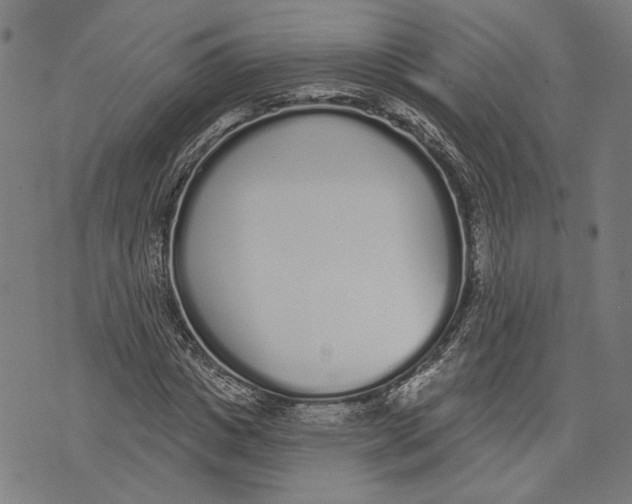 X0000071770825200607211529