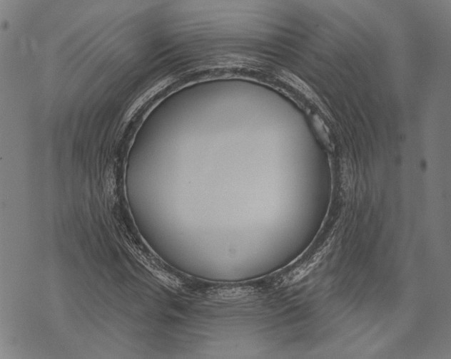 X0000071770826200607211529