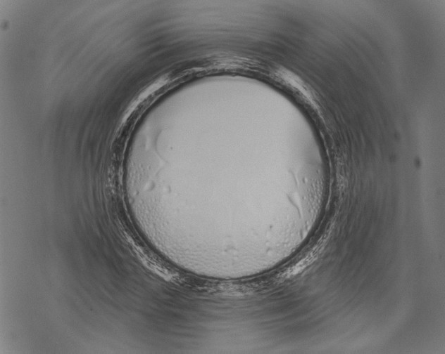 X0000071770827200607211529