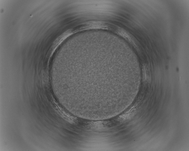 X0000071770828200607211529