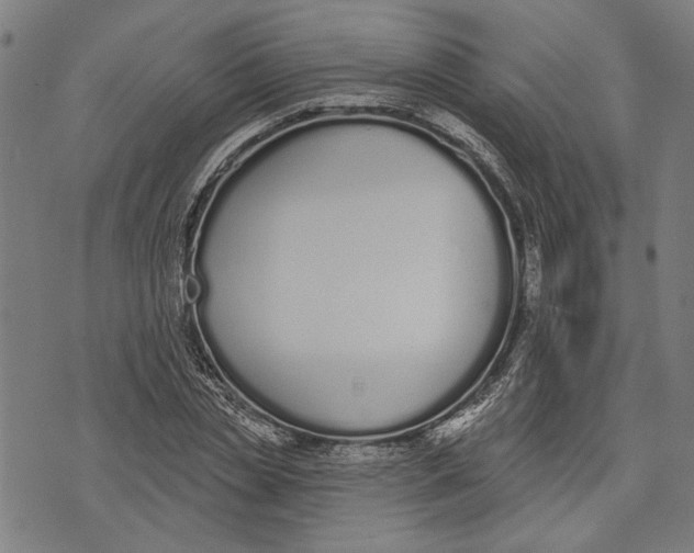 X0000071770829200607211530