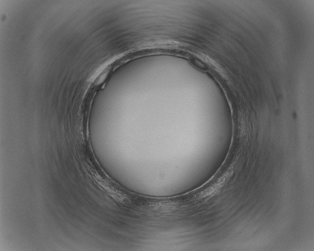 X0000071770830200607211530