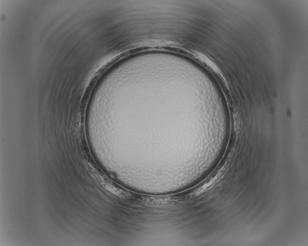 X0000071770831200607211530