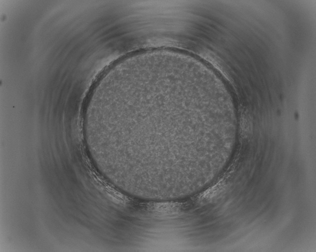 X0000071770832200607211530