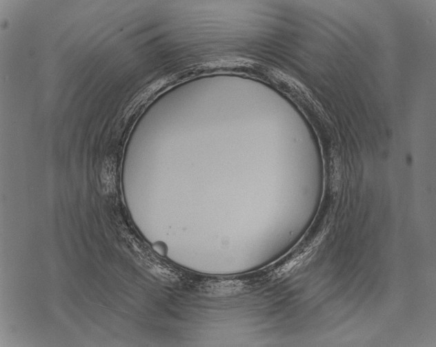 X0000071770833200607211530