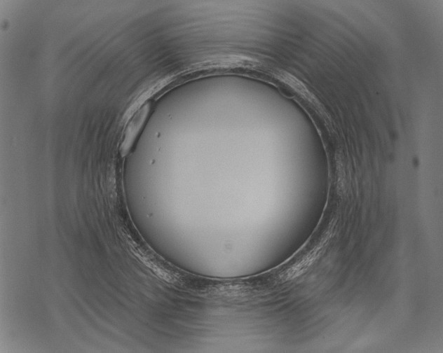 X0000071770834200607211530