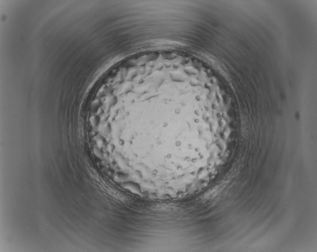 X0000071770835200607211530