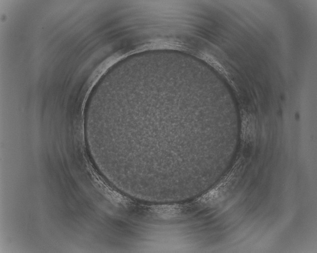 X0000071770836200607211530