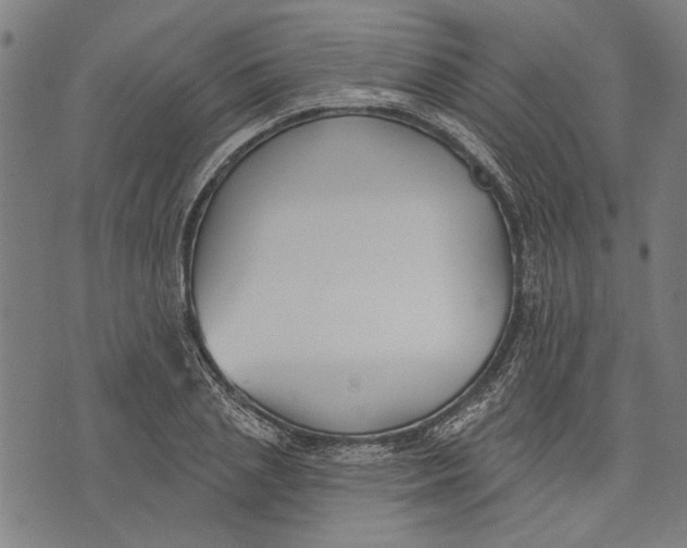 X0000071770837200607211530